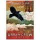 Oracle Urban Crow - MJ Cullinane